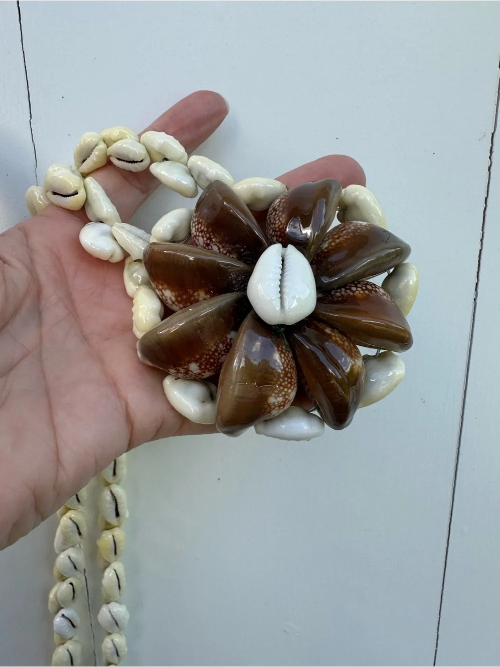 Balanced Cats Paw Cowrie Lei